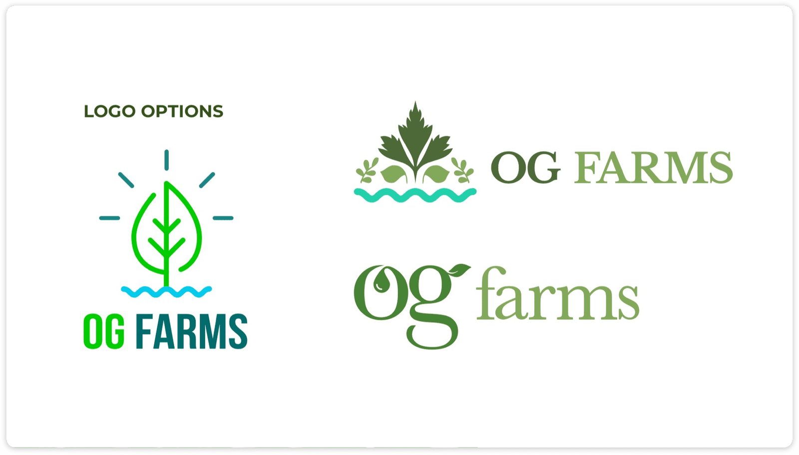 OG Farms branding design
